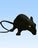 blackrat"s Avatar Image