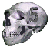 skull5"s Avatar Image